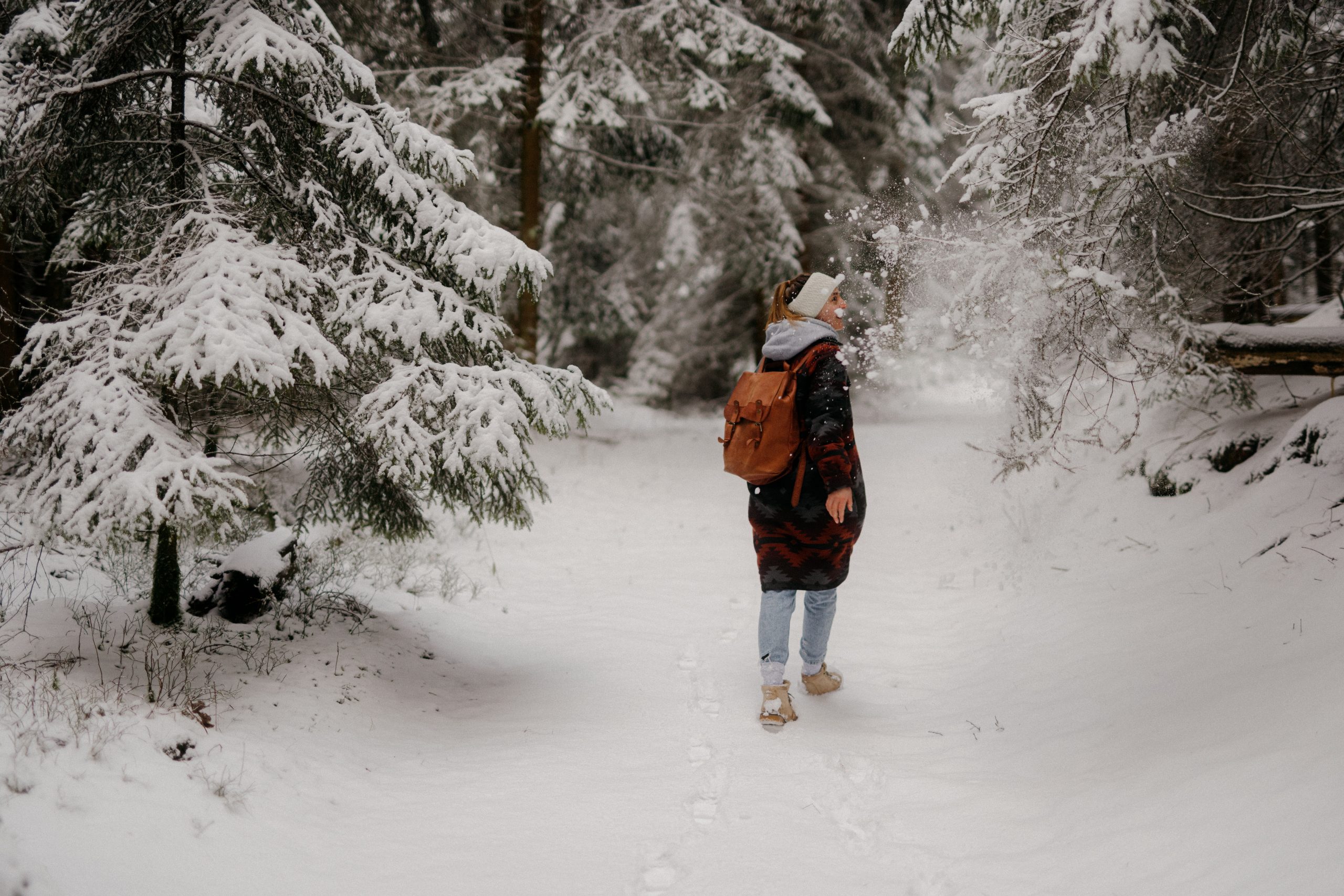 randonnée-dans-les-laurentides