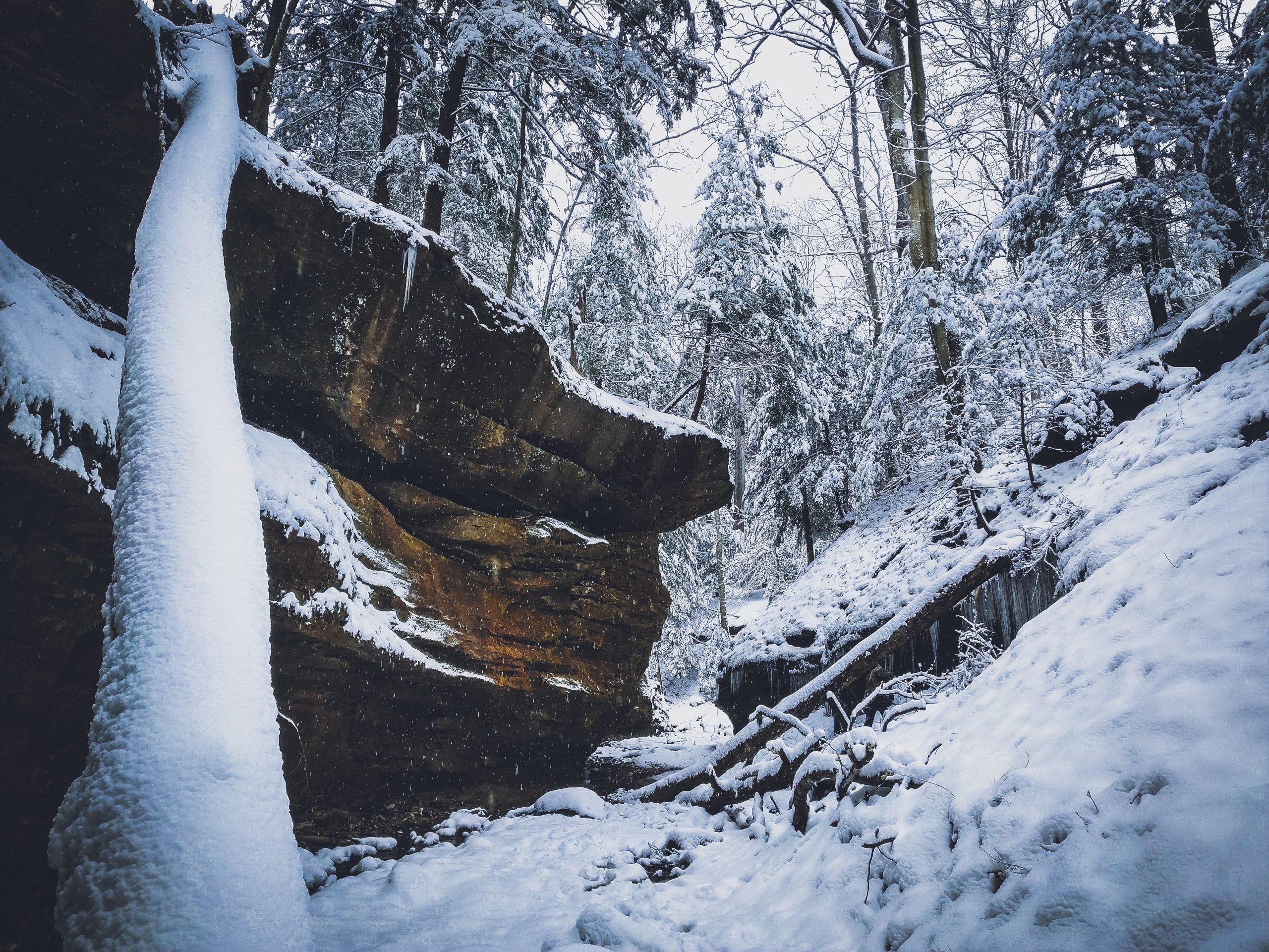 randonnée-dans-les-laurentides