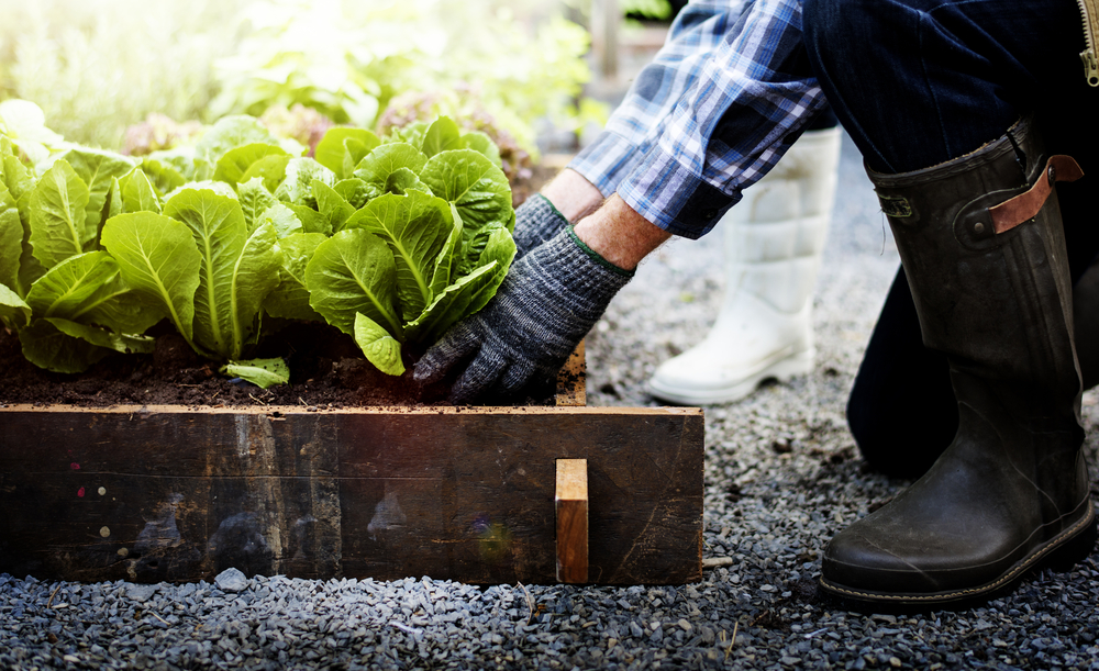 jardin écologique