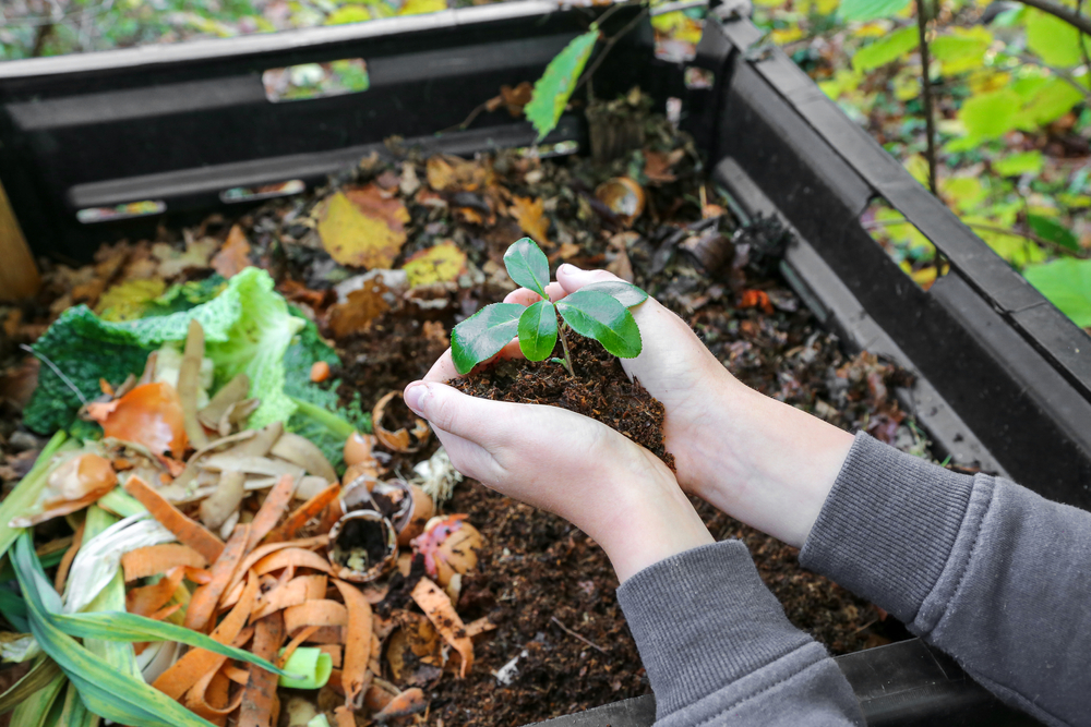 jardin écologique