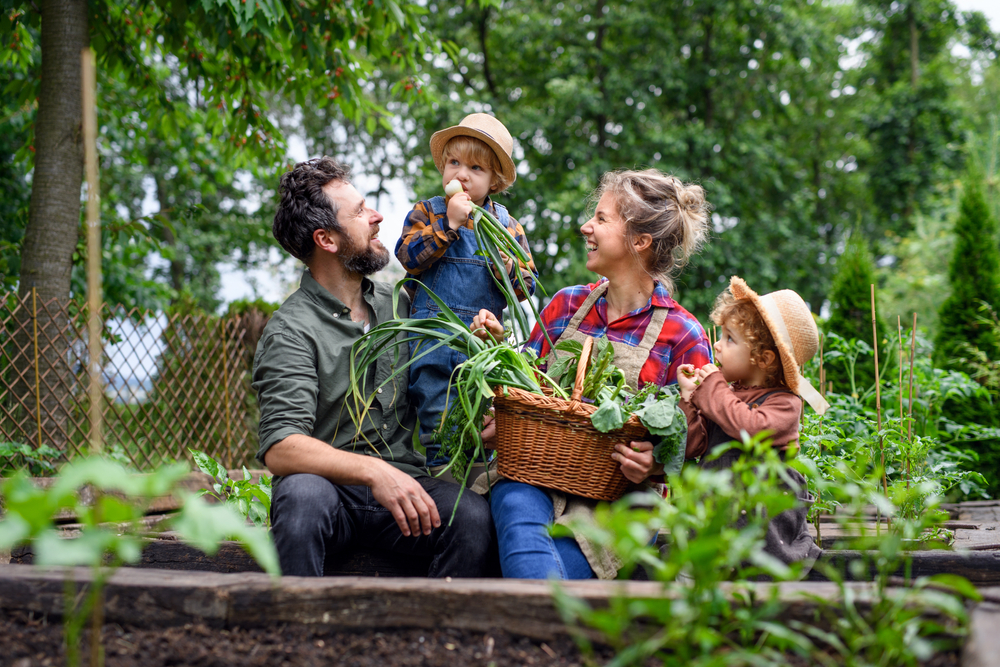 Le Domaine de la Lumière: une qualité de vie familiale incomparable