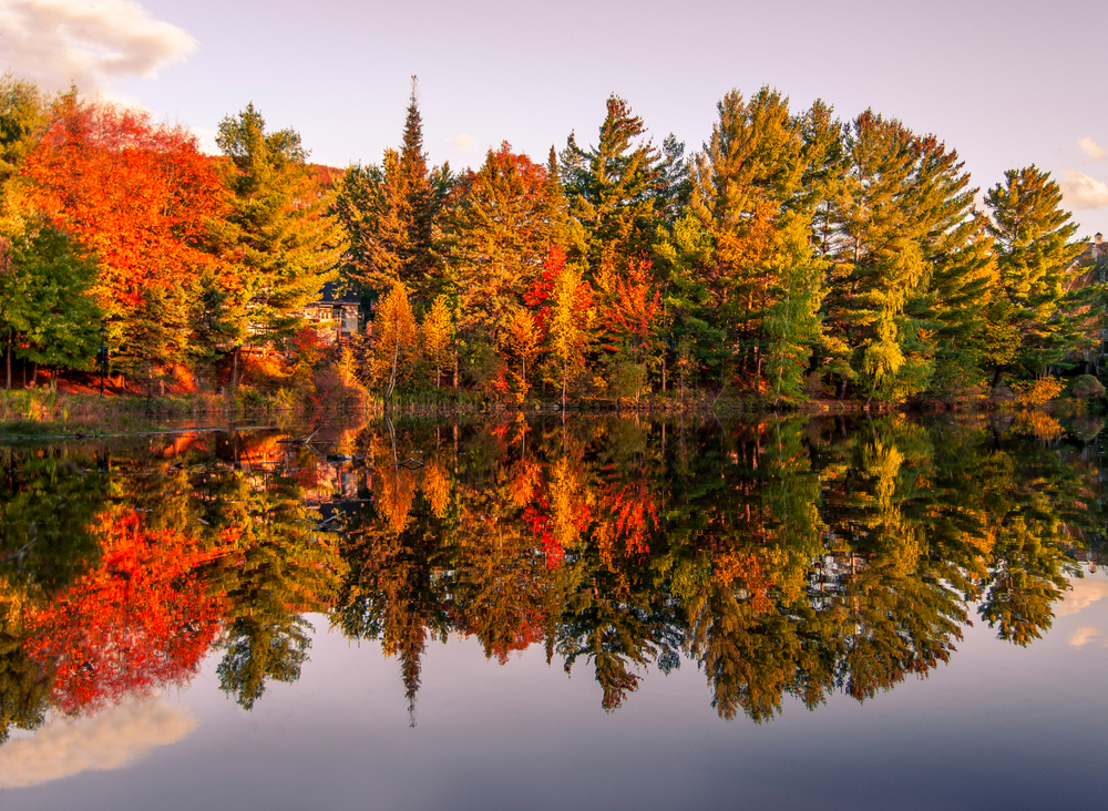 Automne dans les laurentides