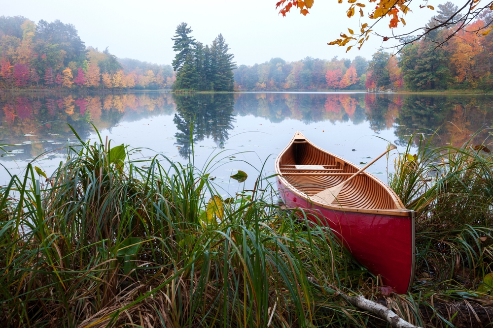 Terrain idéal dans les Laurentides: près du lac