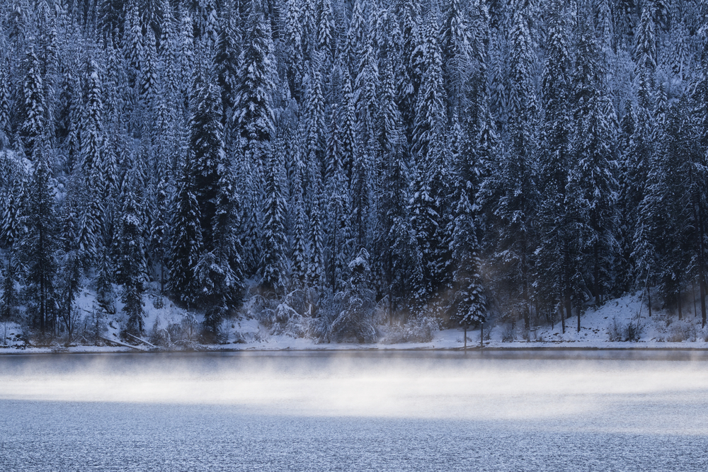 Le Domaine de la Lumière est un développement résidentiel qui a la protection de l'environnement à coeur